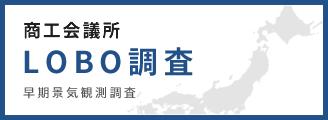 商工会議所LOBO調査